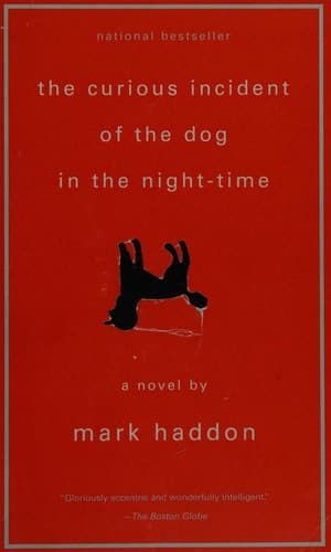 The Curious Incident of the Dog in the Night-Time
